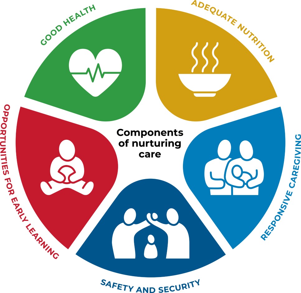 Graphic showing the components of nurturing care